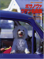 【送料無料・メール便】【楽譜／教則本・DVD・VHS／DS・PCソフト/音楽CD・DVD】ギターソロのための ボサノヴァ ラテン名曲集　編曲：竹内永和　現代ギター社