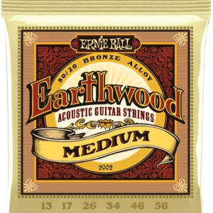 【ゆうパケット便発送・送料無料】ERNIE BALL 2002 アコースティックギター弦 (13-56) EARTHWOOD 80/20 BRONZE MEDIUM