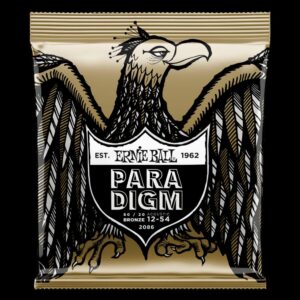 【ゆうパケット便発送・送料無料】ERNIE BALL 2086 アコースティックギター弦 (12-54) PARADIGM 80/20 BRONZE MEDIUM LIGHT