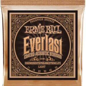 【ゆうパケット便・送料無料】ERNIE BALL 2548 アコースティックギター弦 (11-52) EVERLAST COATED PHOSPHOR BRONZE LIGHT