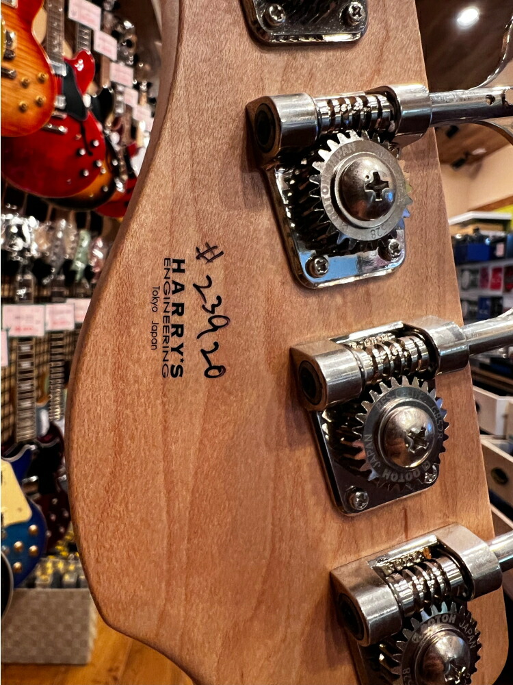 【dragonfly】【エレキベース】 CL-DJB4 ASH/MAP CBL/WP4 - 画像 (5)