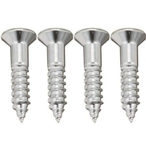 【SCUD】【スクリュー】<br />エスカッション用ビス PS08CH フロント用、ミリサイズ、8P(クローム)