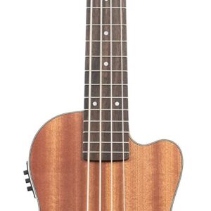 【送料無料】【KALA カラ】 UBass ユーベース ウクレレベース Journeyman ナチュラル UBASS-JYMNFS20_06 [UBASS-JYMN-FS 後継モデル] (ケース付属)