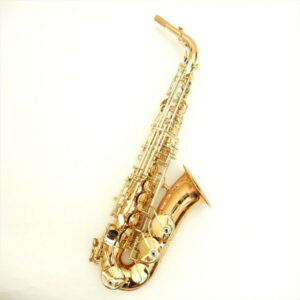 【Yanagisawa】【管楽器・ｱﾙﾄｻｯｸｽ】【代引き不可】 A-WO20
