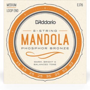 【ゆうパケット・送料無料】【D'Addario （ダダリオ）】マンドラ弦 フォスファーブロンズ Medium .015-.052 EJ76