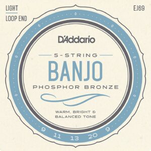 【ゆうパケット・送料無料】【D'Addario （ダダリオ）】【バンジョー弦】フォスファー Light 5弦 .009-.020 EJ69