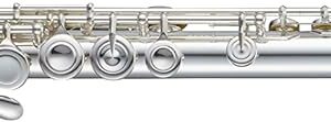 【送料無料】Pearl フルート ドルチェ・プリモ F-DP/E #OF パール 管楽器 Dolce Primo