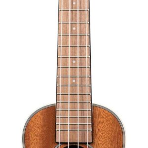 【KALA カラ】ウクレレ Gloss Mahogany Series マホガニーボディ ソプラノ ロングネック仕様 KASLNG-WBAG20_06 [KA-SLNG 後継モデル]