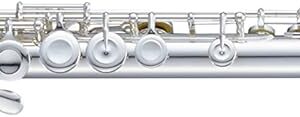 【送料無料】Pearl Flute パール フルート Quantz クヴァンツ・シリーズ 665 頭部管銀製 カバードキィ PF-665E