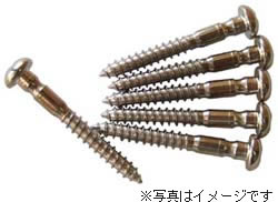 【SCUD】【スクリュー】<br />トレモロパーツ SRPOC フリーフローティングスクリュー