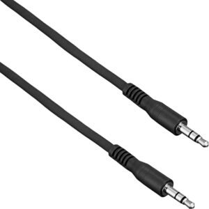 TRUE DYNA トゥルーダイナ オーディオ用 ラインケーブル TD-10SMSM (1m StMini×2)