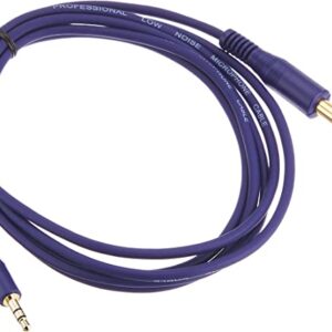 TRUE DYNA トゥルーダイナ オーディオ変換用 ラインケーブル TD-20SPSM (2m StPhone/StMini)